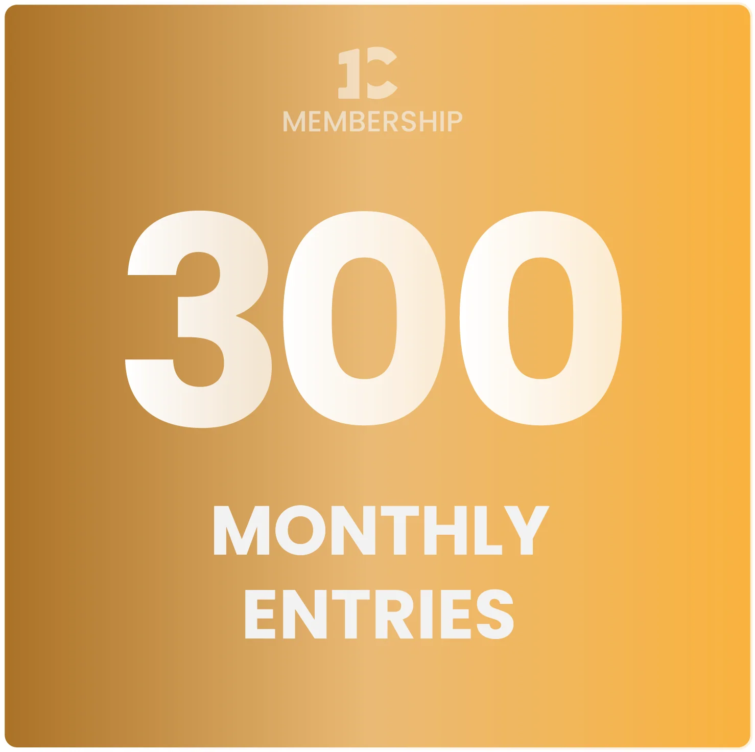 1C Membership 300 Annual - Image 3