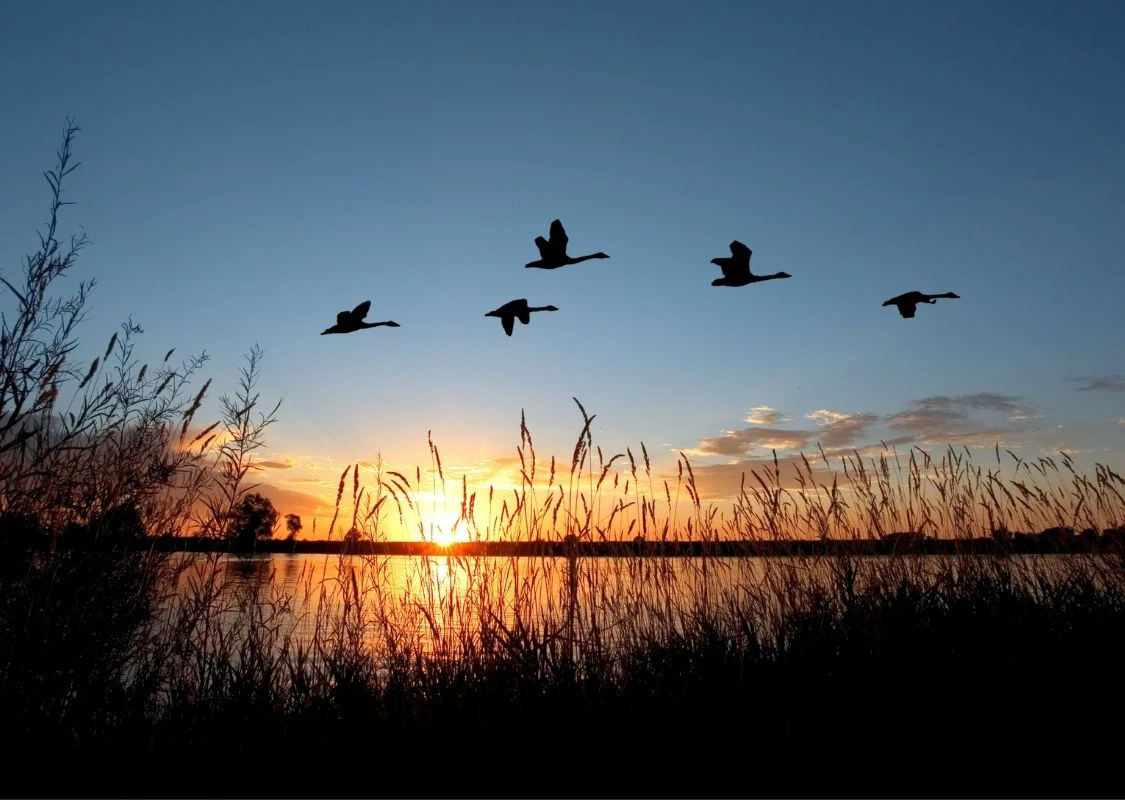 Win a Kansas Hunting Trip - Image 3